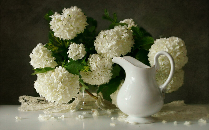 White Hydrangea Bouquet — Serene