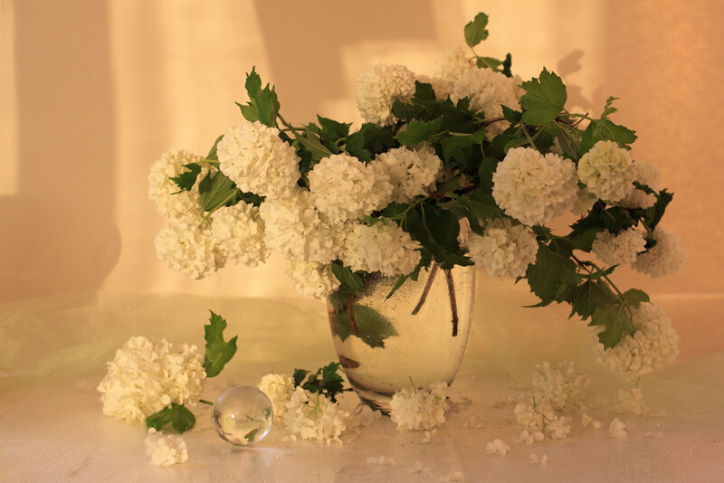 White Hydrangea Bouquet