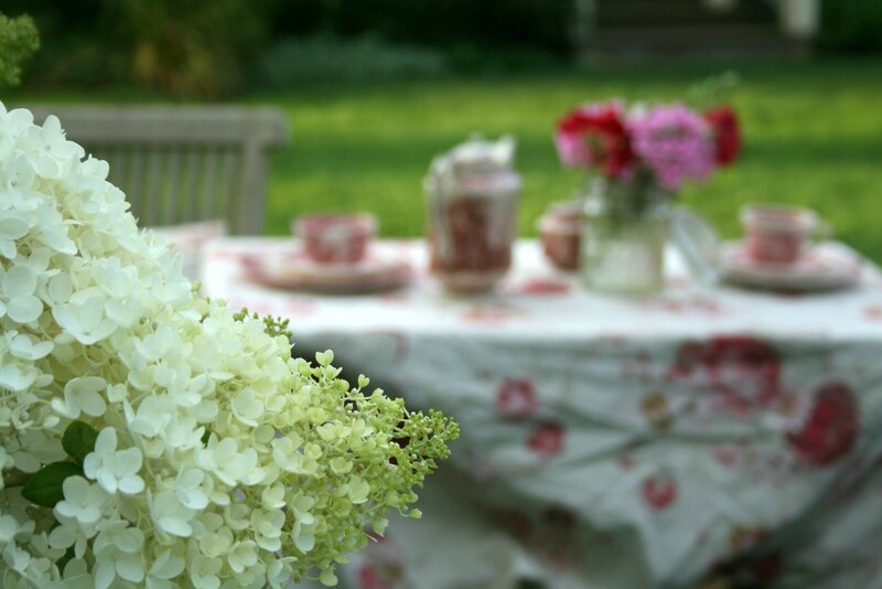 White Hydrangea Flowers — Serene, Afternoon, Photograph, Table Setting