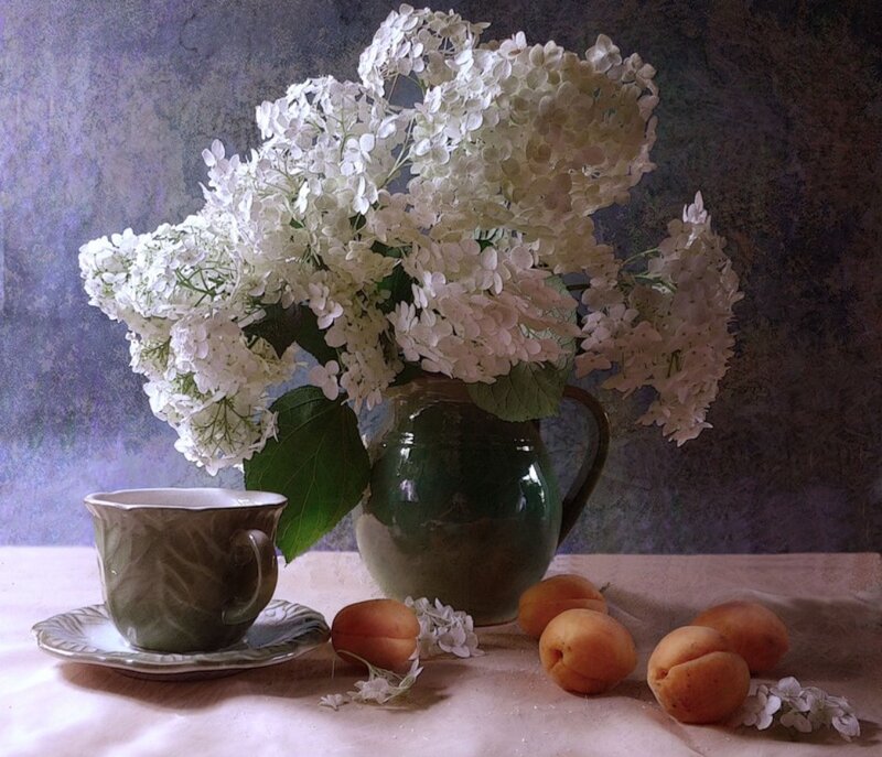 White Hydrangeas in Pitcher