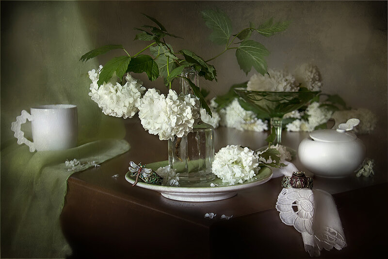 White Hydrangeas in Vase — Serene, Photograph