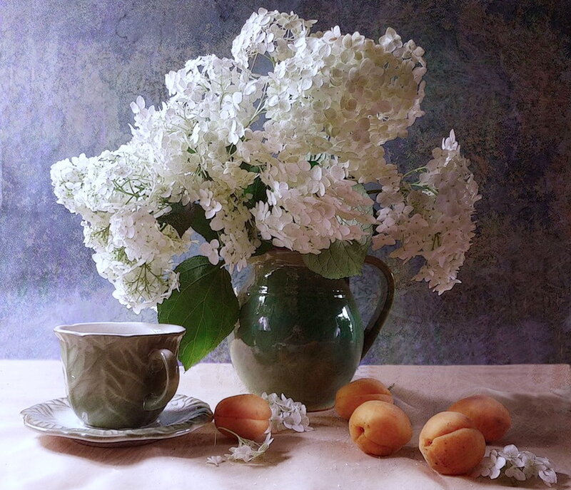 White Hydrangeas in Vase — Serene