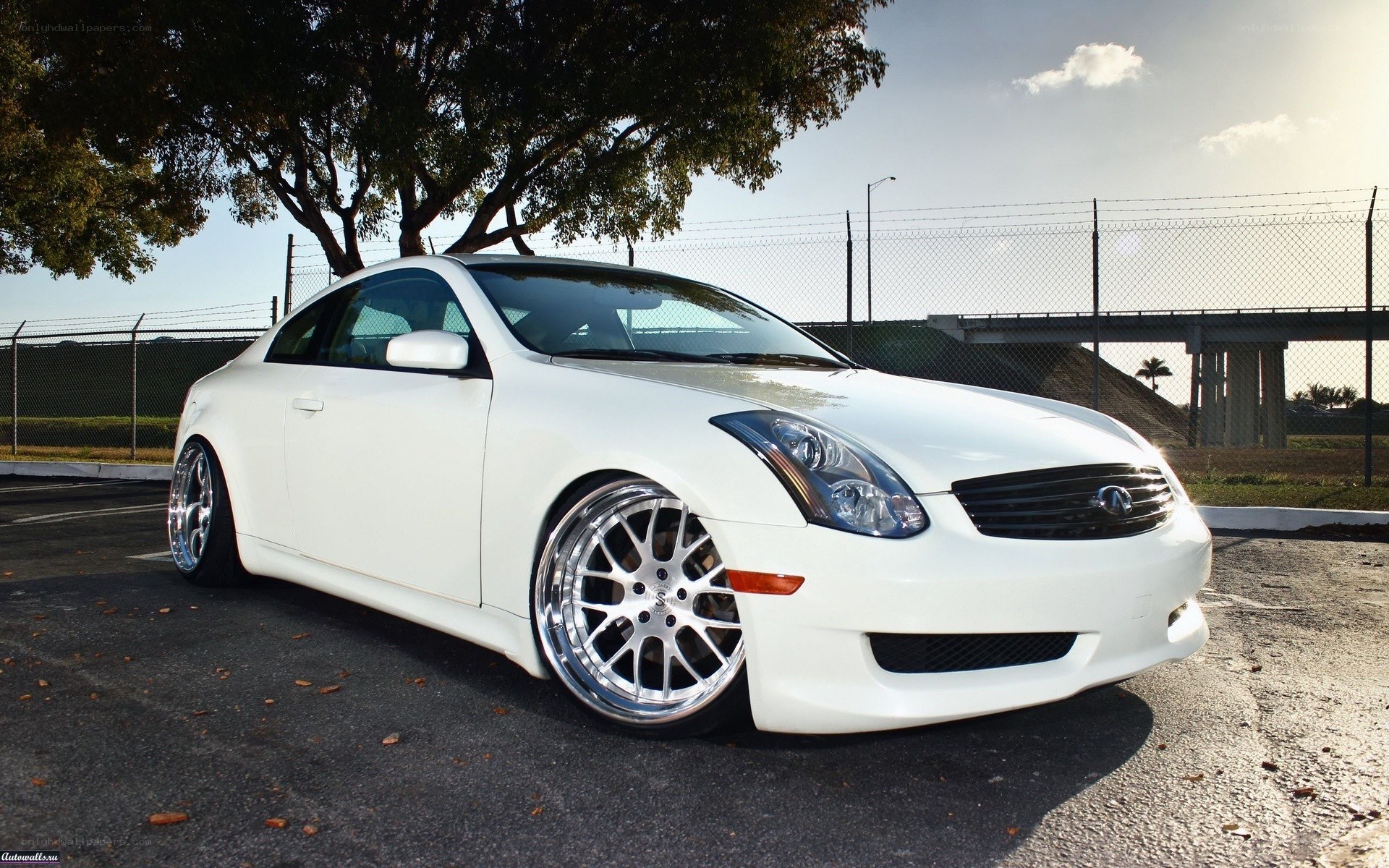 white infiniti coupe car