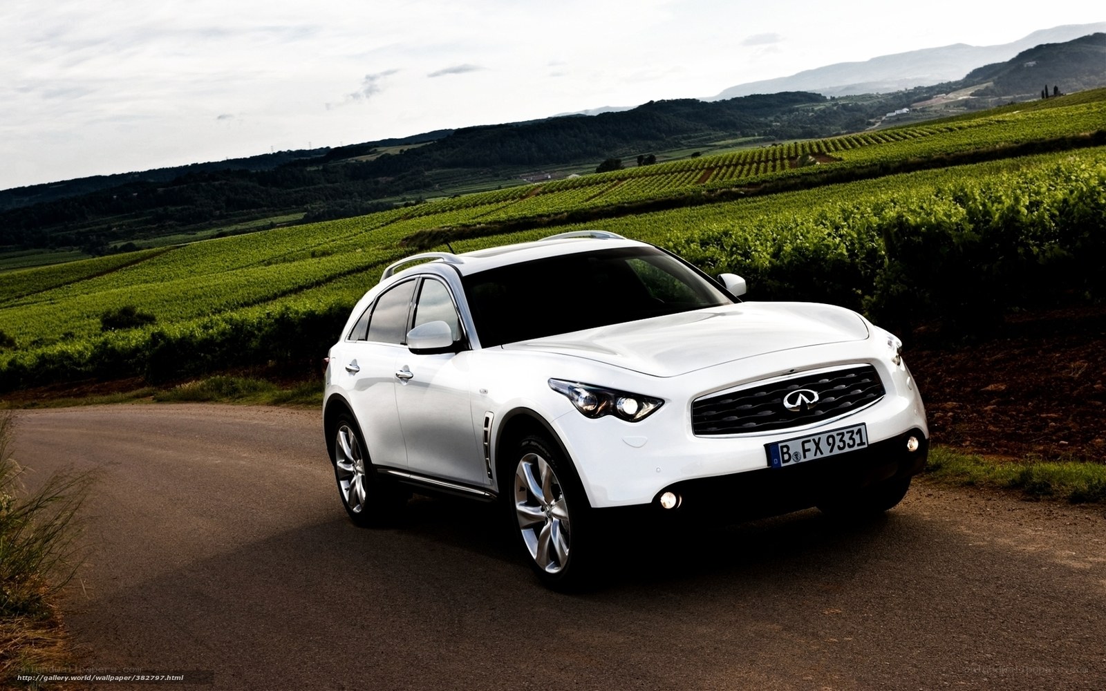 White Infiniti FX in vineyard