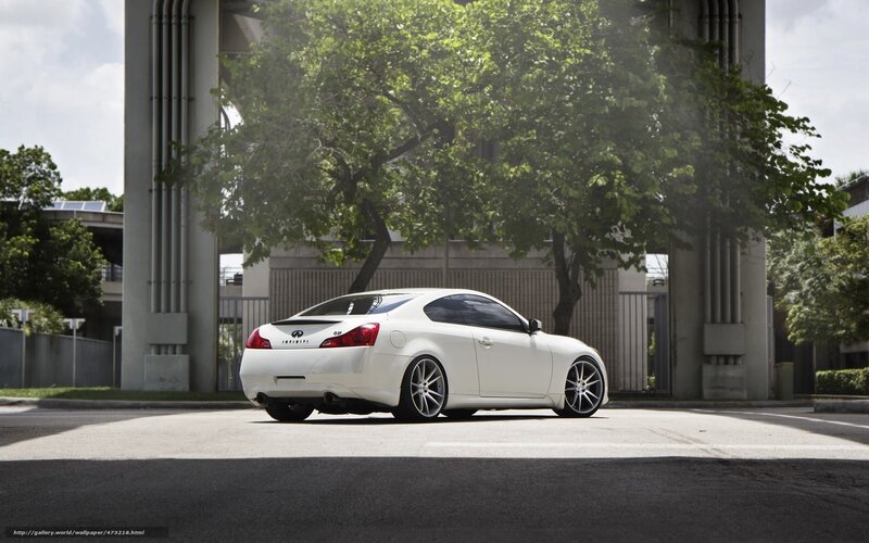 White Infiniti G37 Coupe — Calm