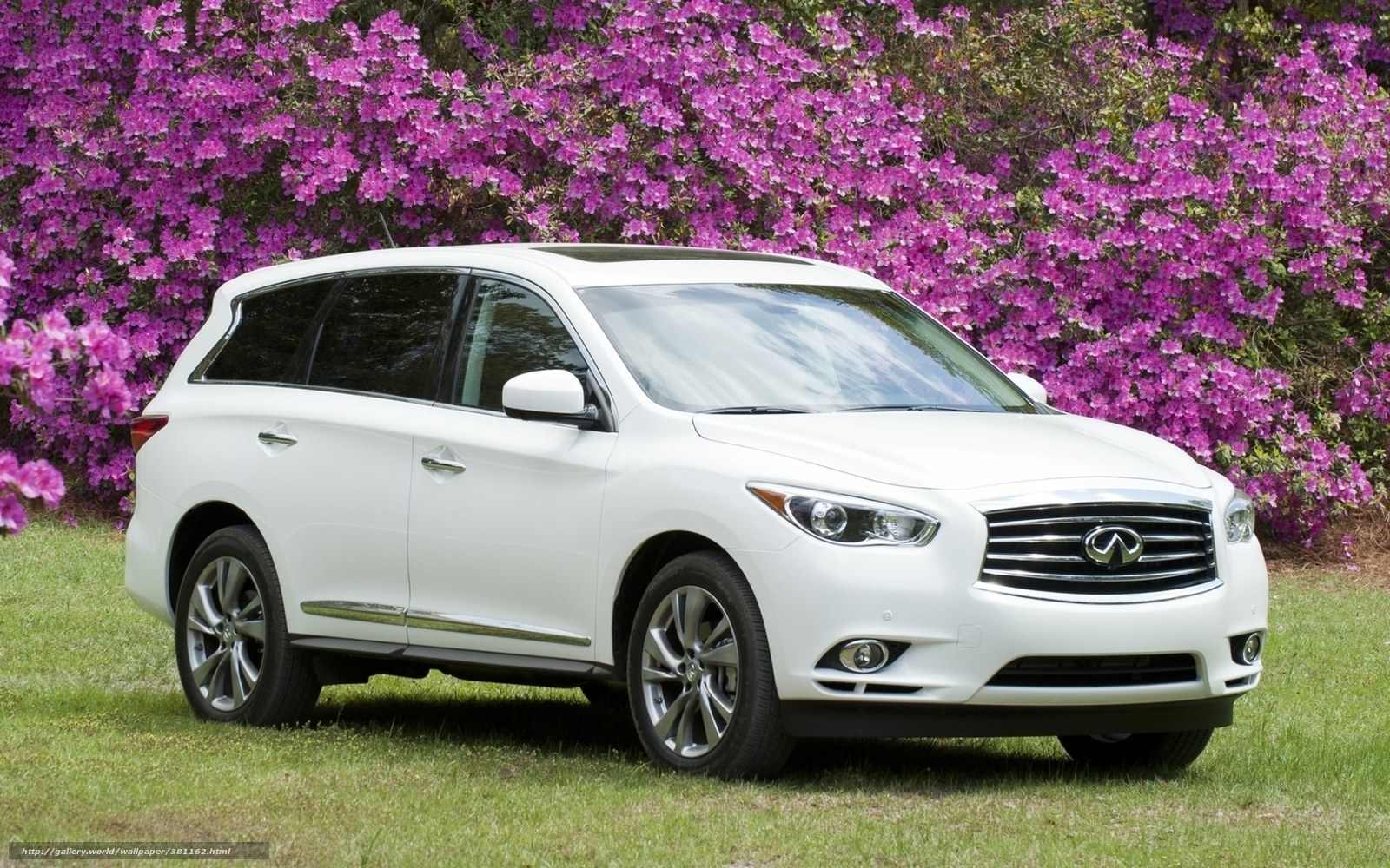 White Infiniti SUV in flower garden