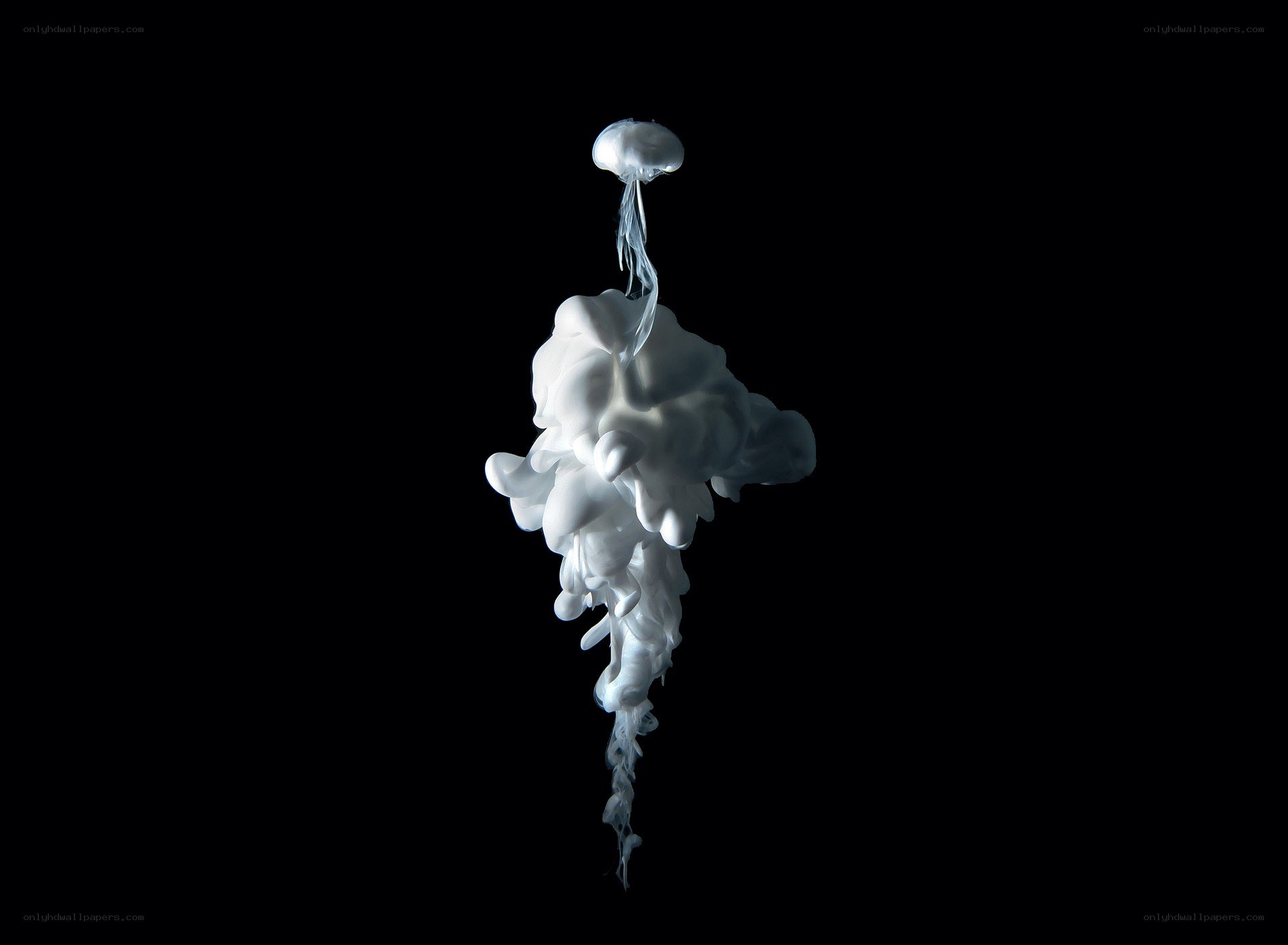white ink cloud in water