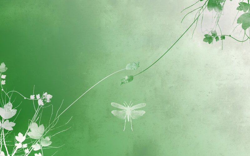 White Insect on Green Background