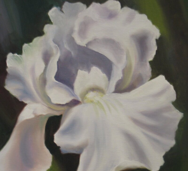 White Iris Flower — Serene, Painting
