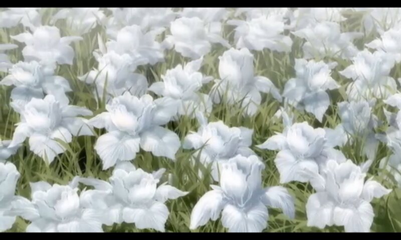 White Iris Flowers — Serene, Anime