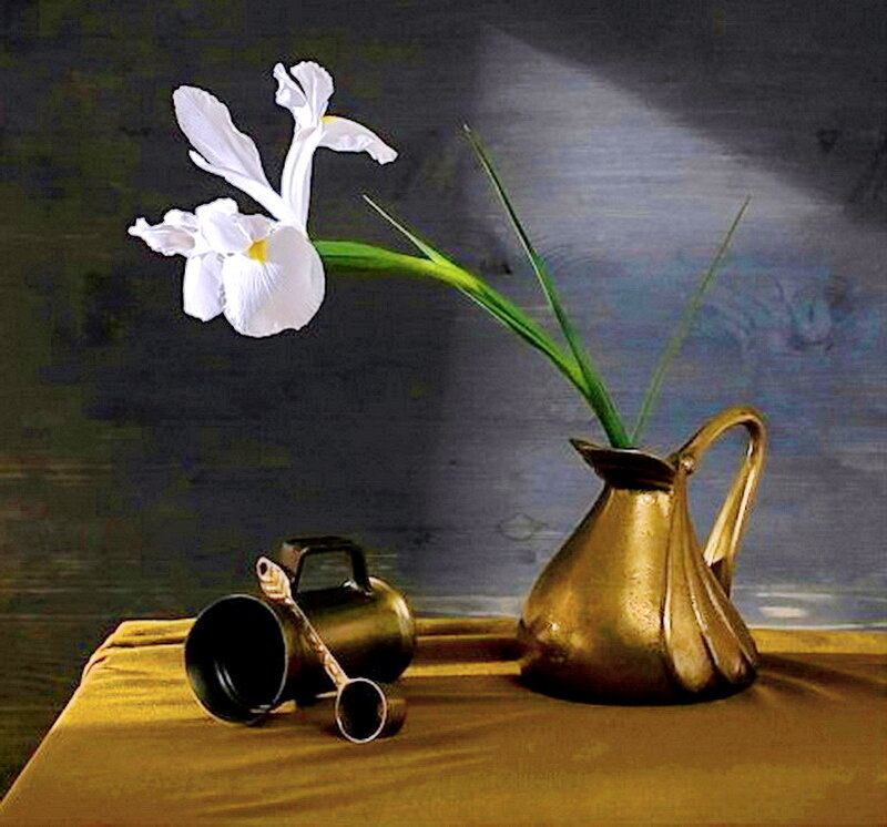 White Iris in Brass Pitcher