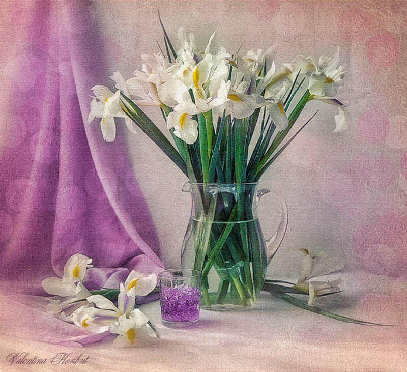 White Irises in a Vase