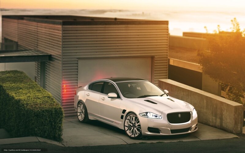 White Jaguar at sunset