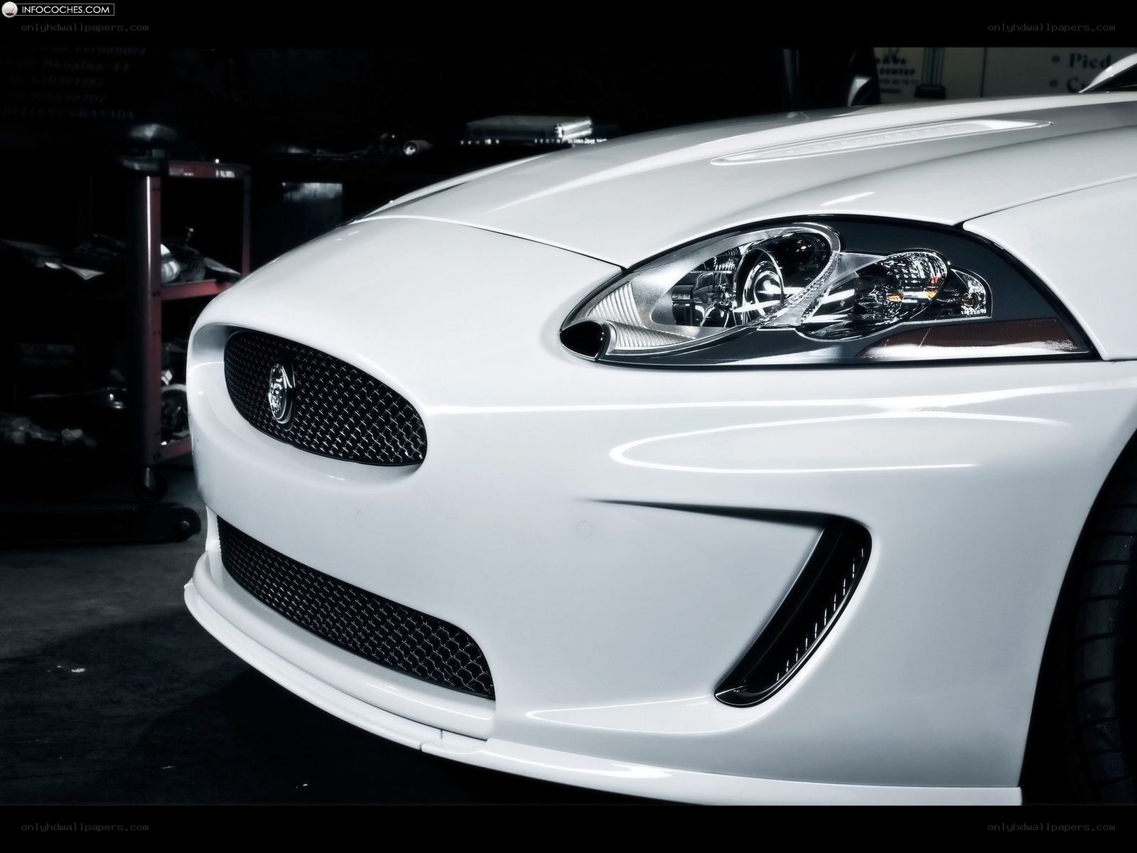 White Jaguar car front view