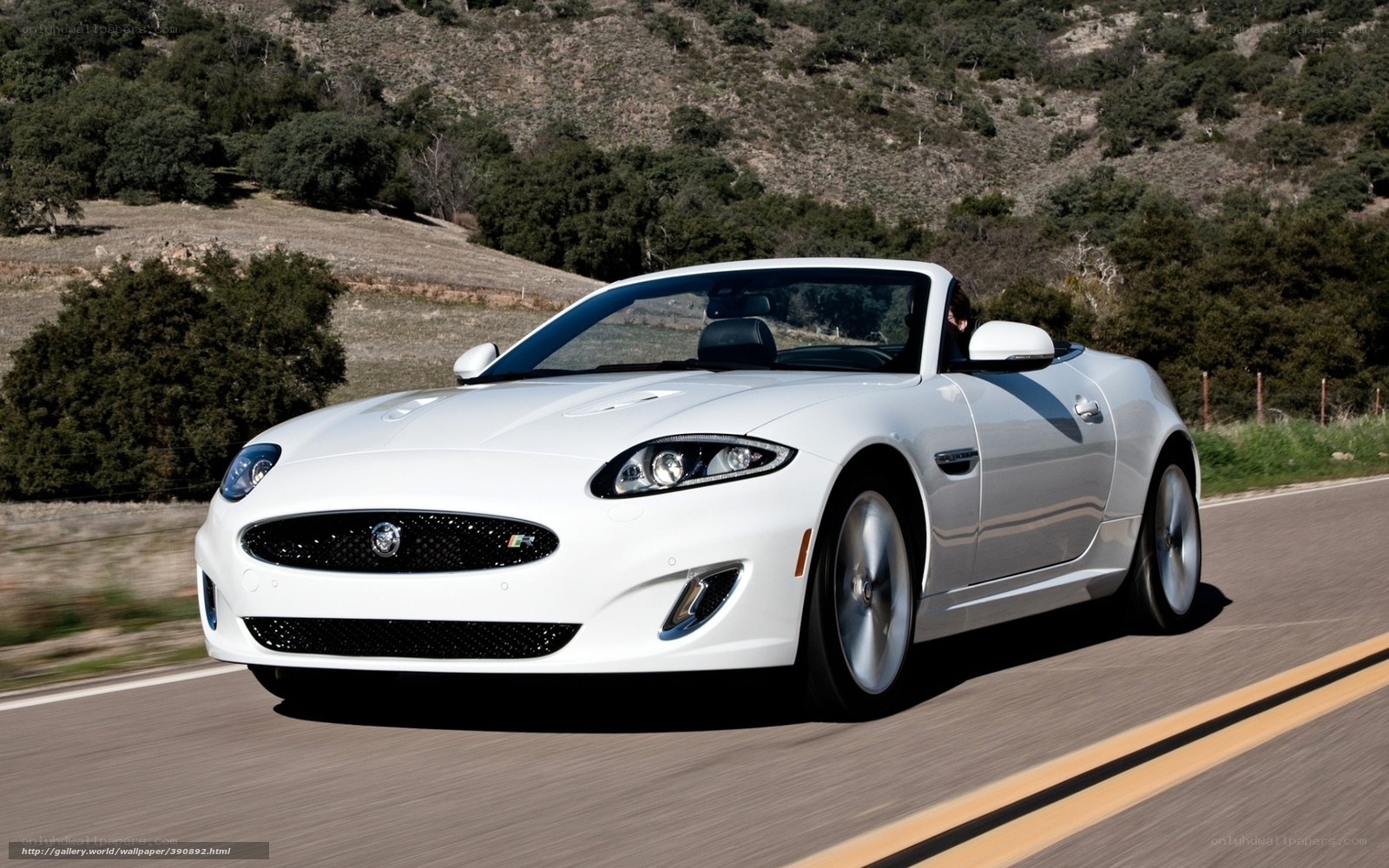 white jaguar convertible on road
