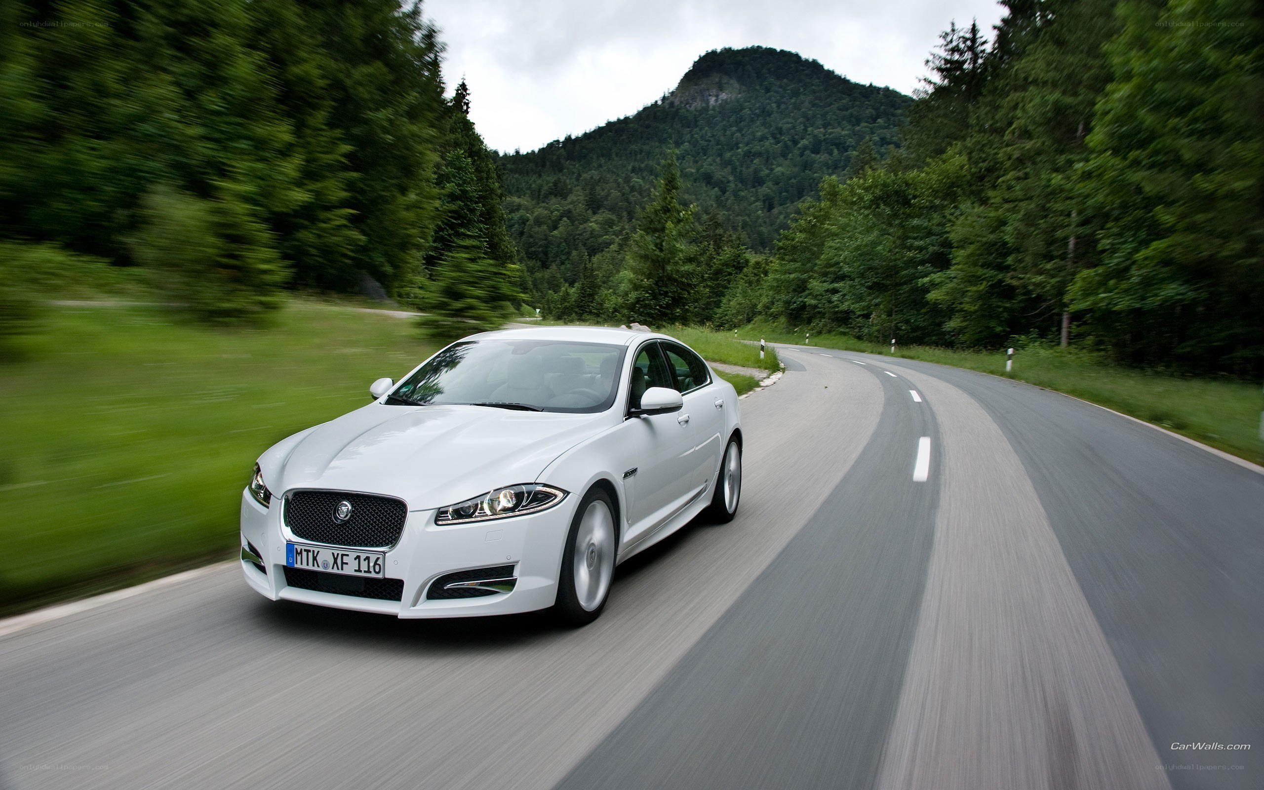 white jaguar driving on a road