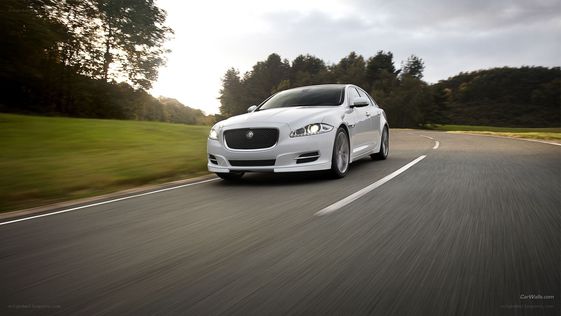 white jaguar driving on road