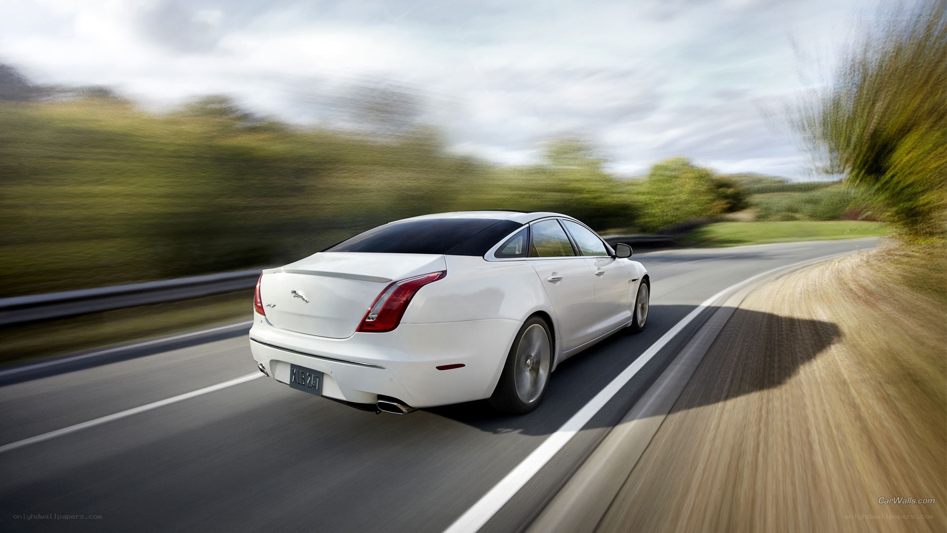 white jaguar driving on road