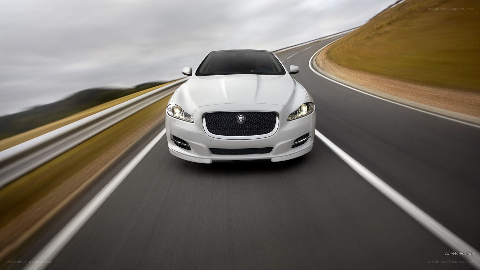 white jaguar driving on road