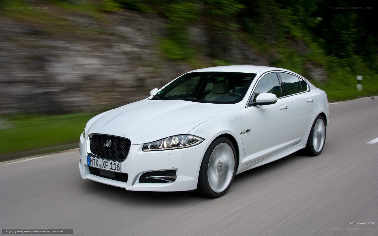 white jaguar driving on road