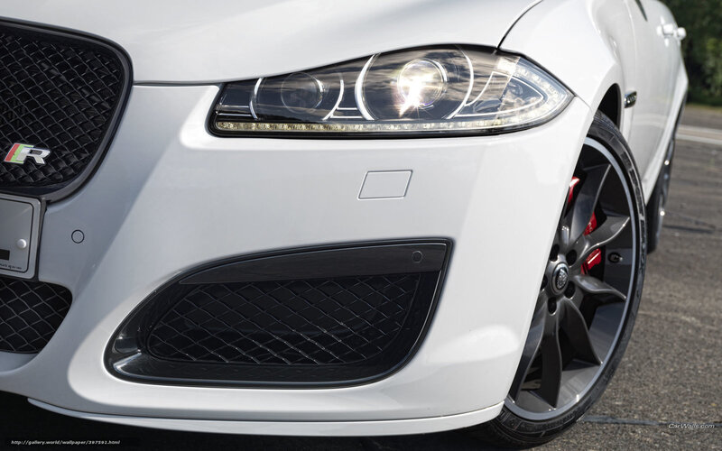 white jaguar front view