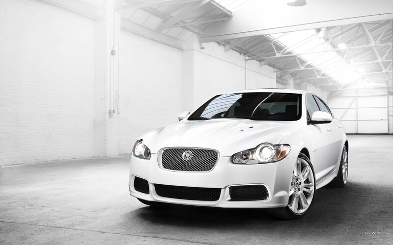 white jaguar in warehouse