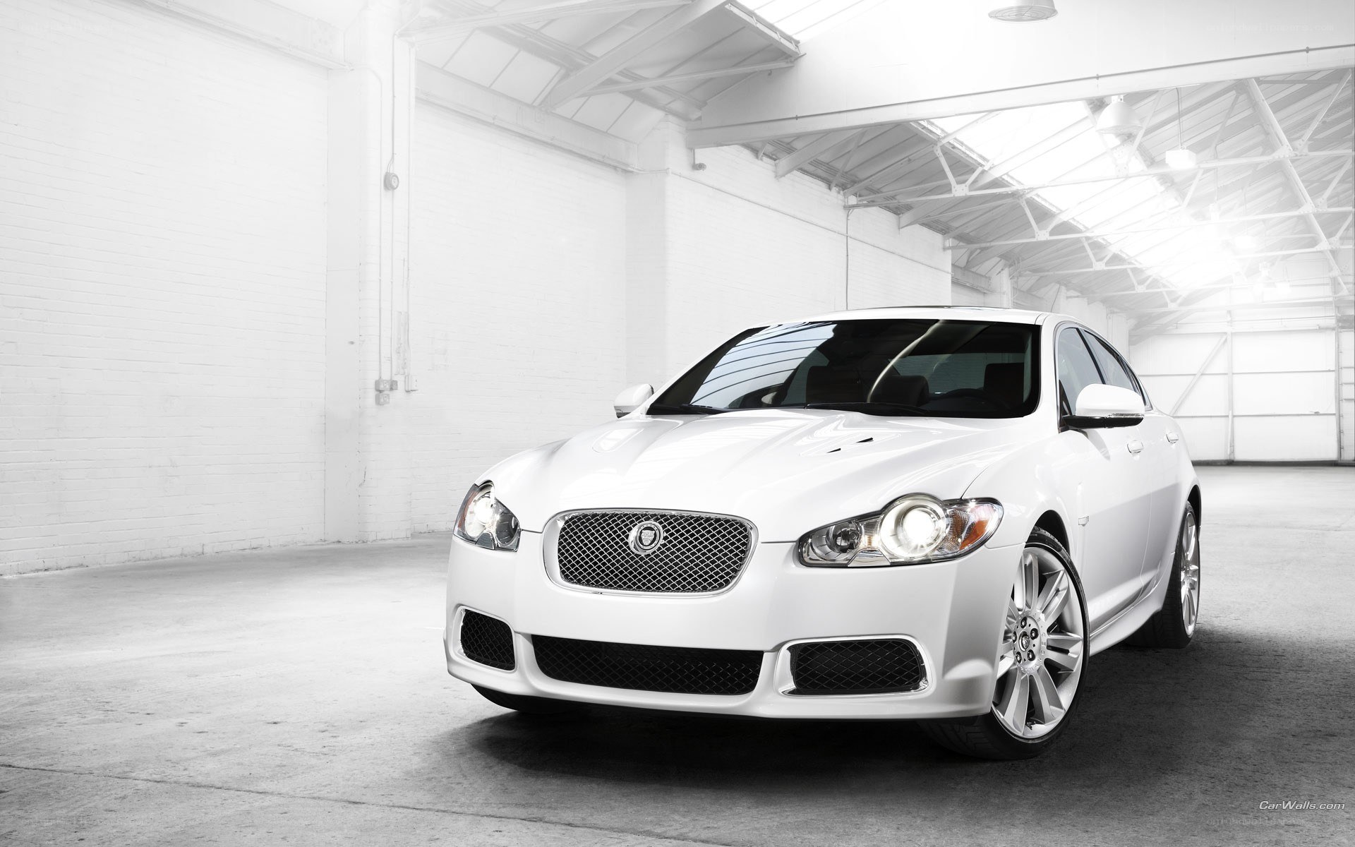 white jaguar in warehouse
