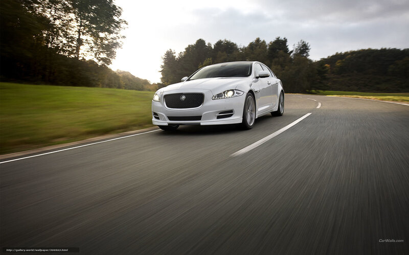 White Jaguar on a country road