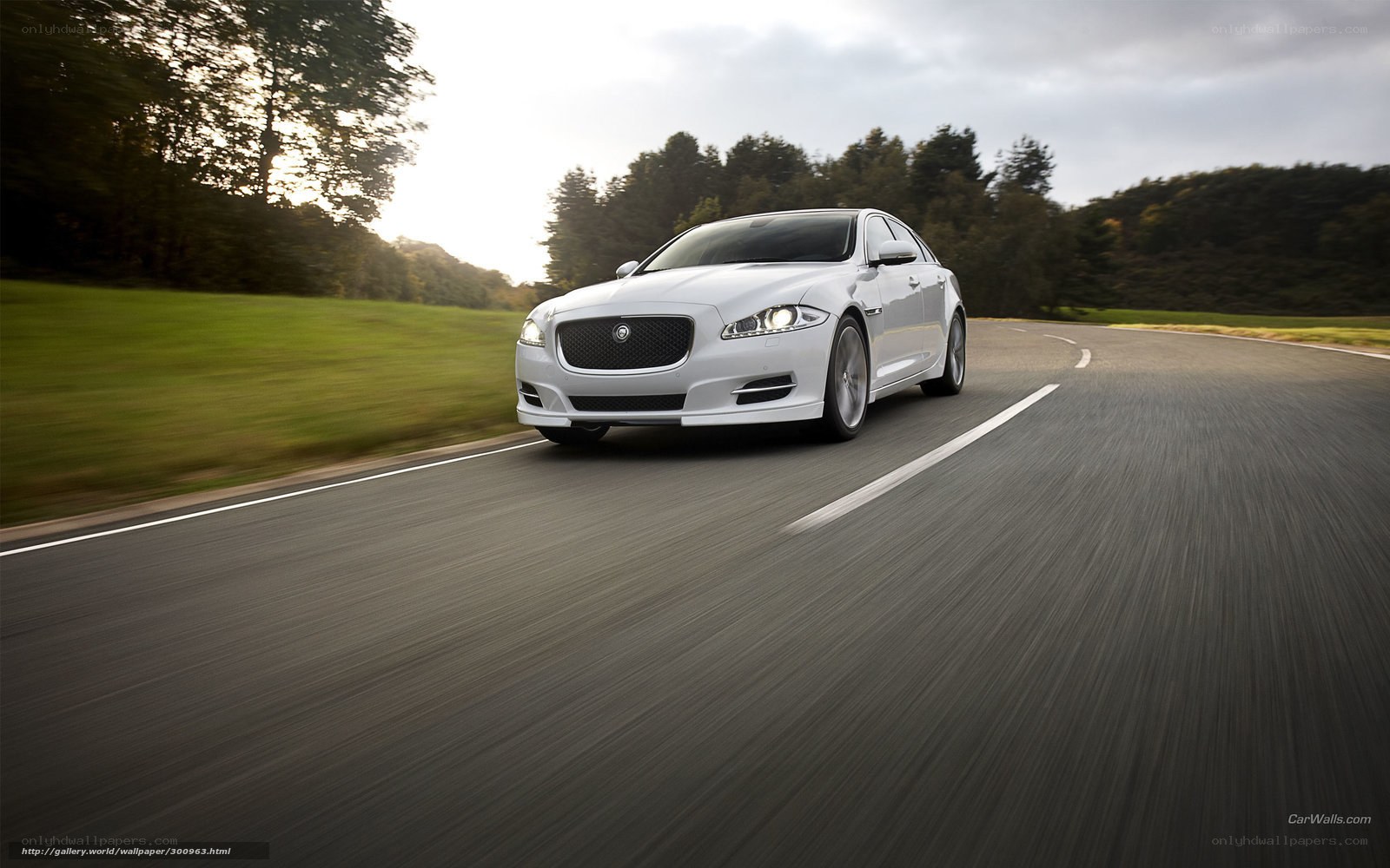 White Jaguar on a country road
