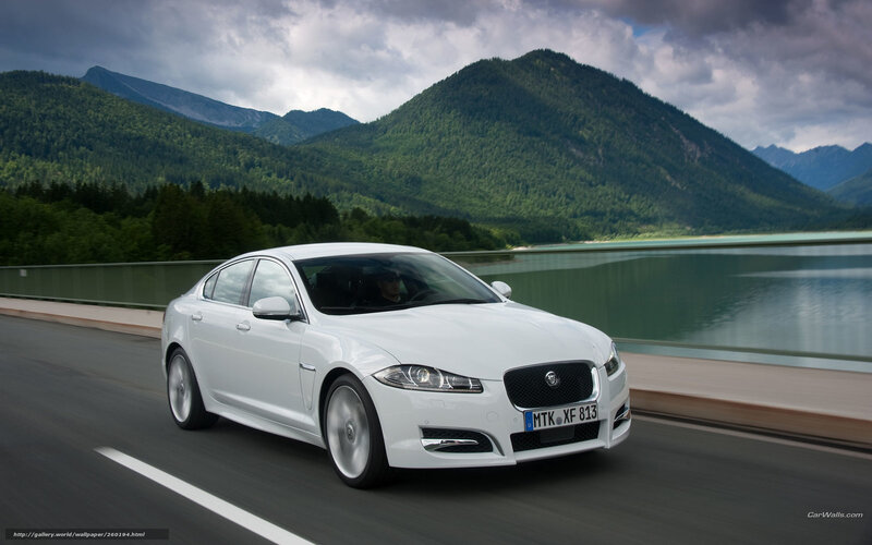 White Jaguar on a mountain road