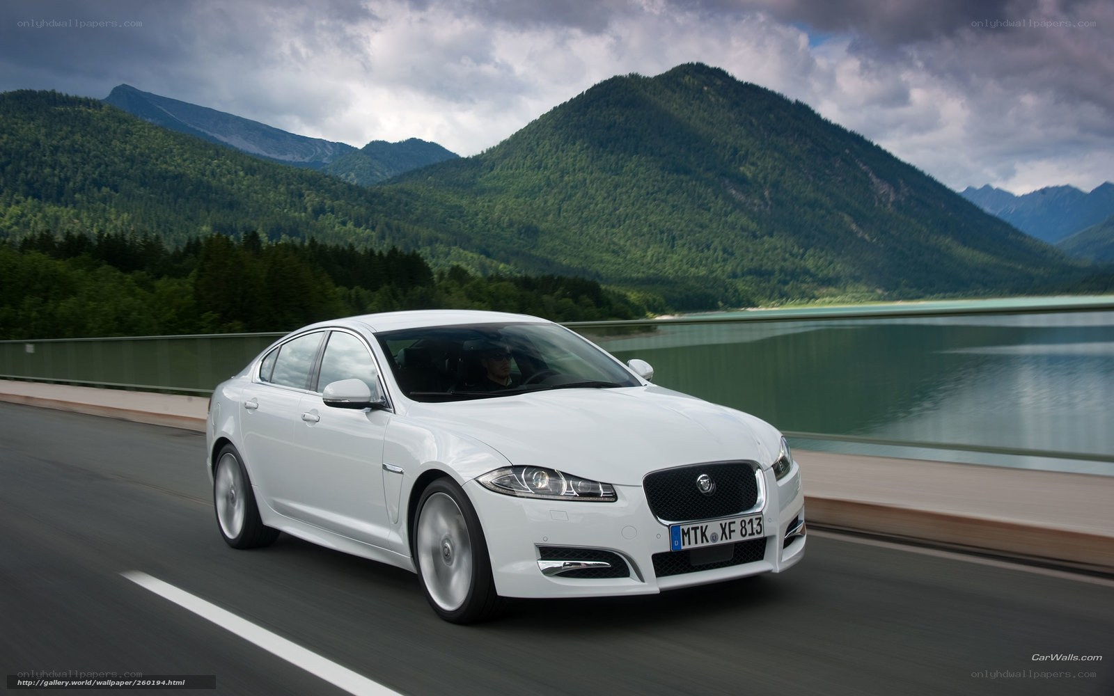 White Jaguar on a mountain road