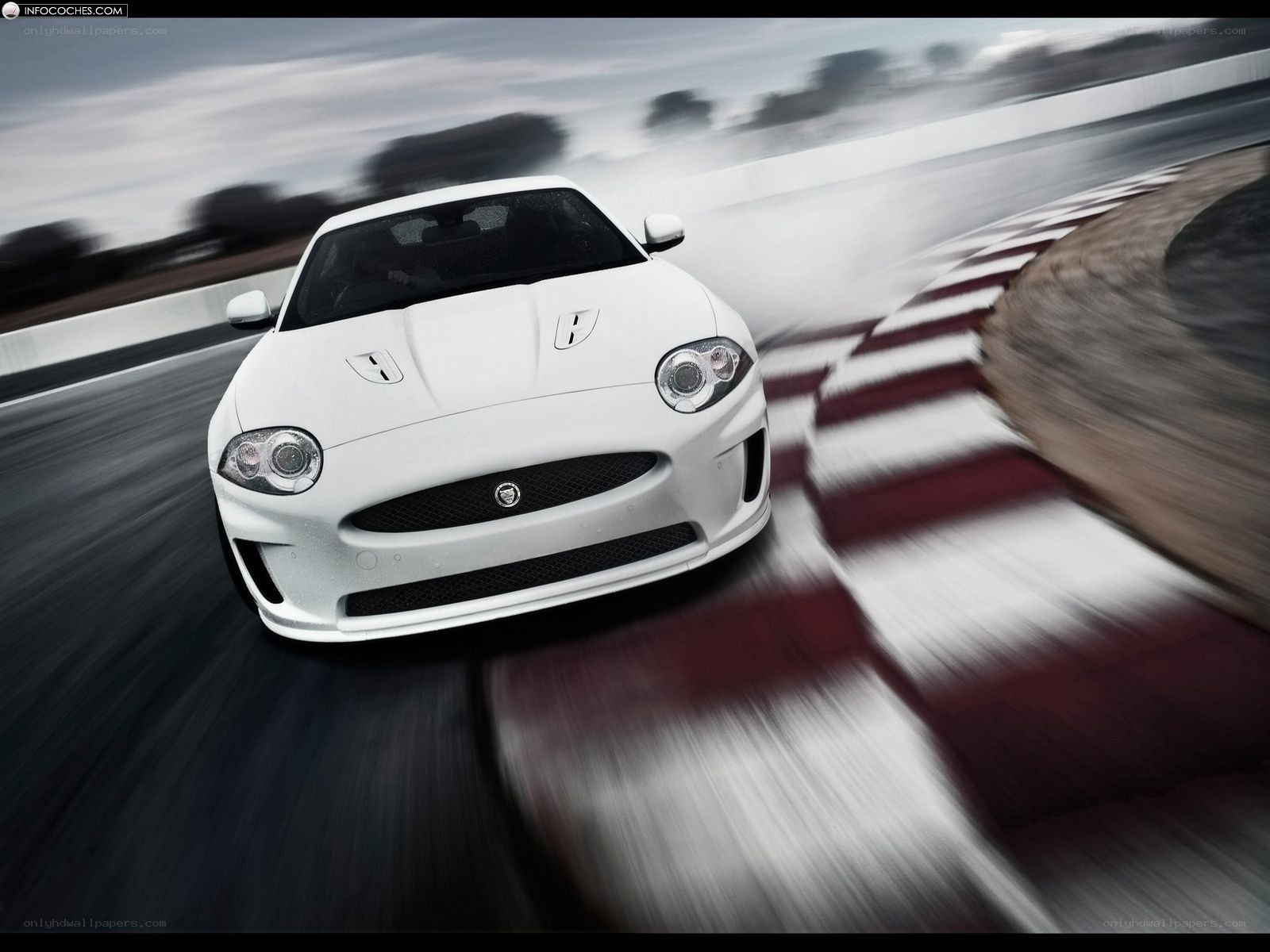 White Jaguar on a racetrack