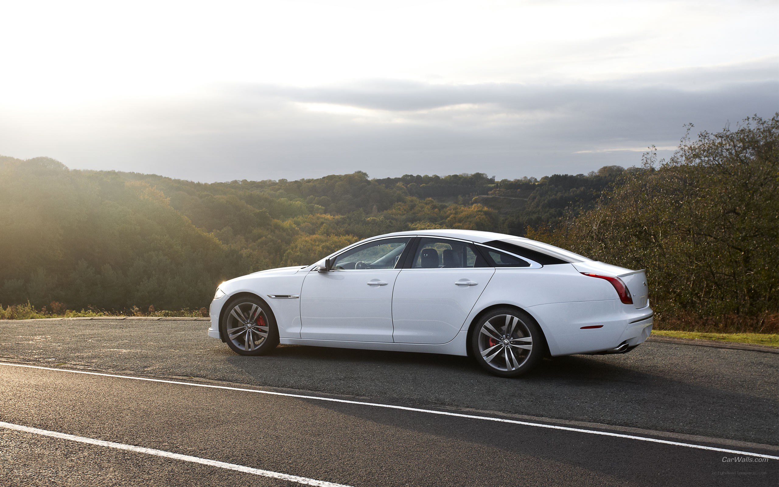 white jaguar on a road