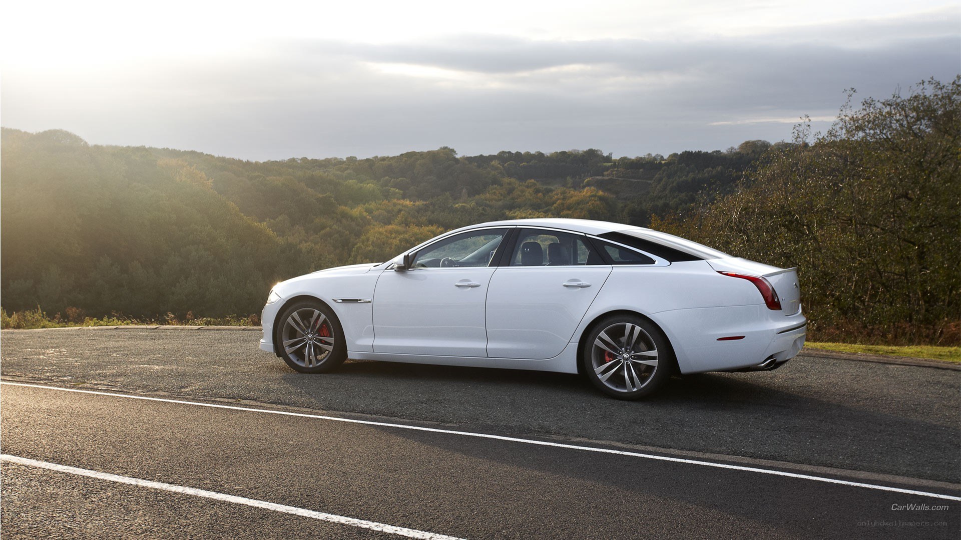 white jaguar on a road