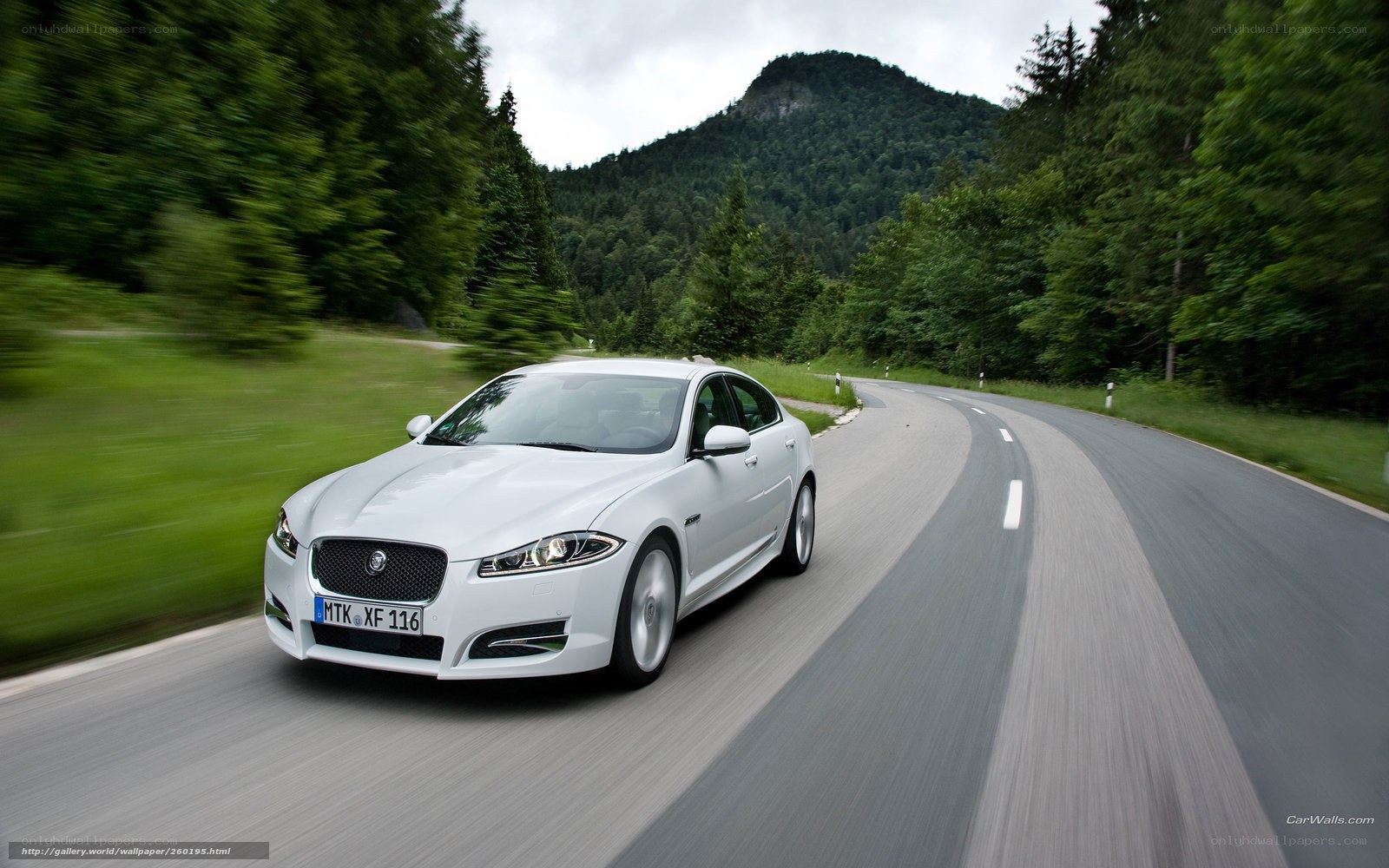 White Jaguar on a winding road