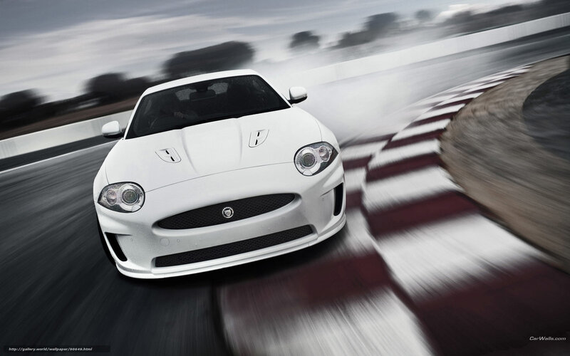 white jaguar on racetrack