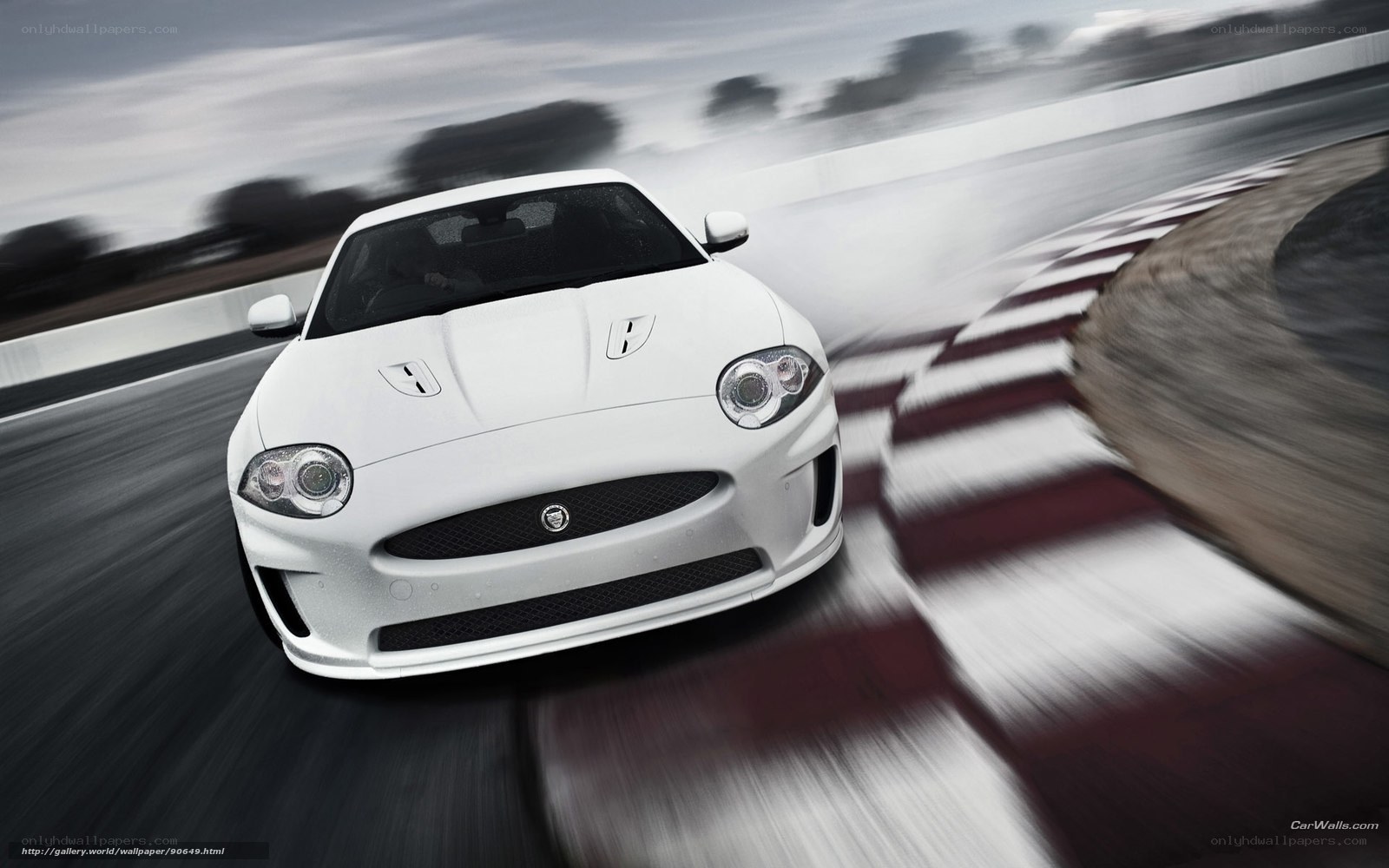 white jaguar on racetrack