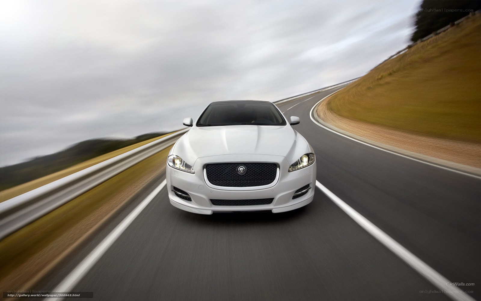 white jaguar on winding road