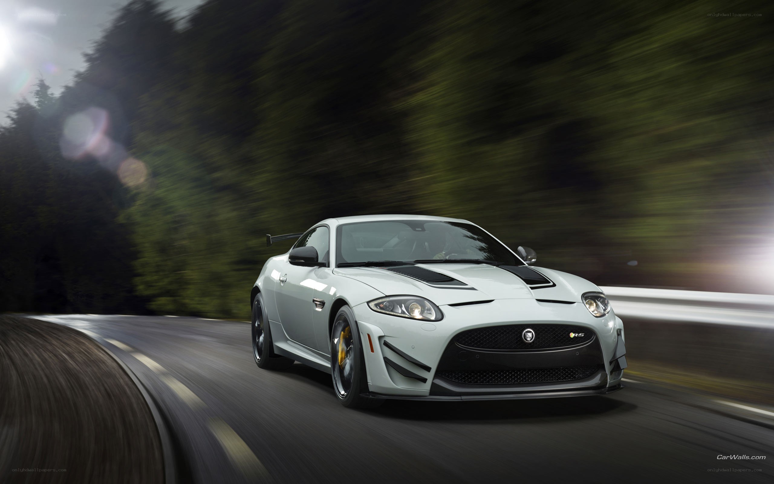 White Jaguar racing on a road