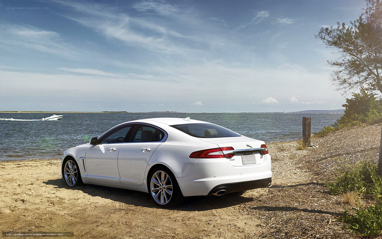 White Jaguar XF by the water