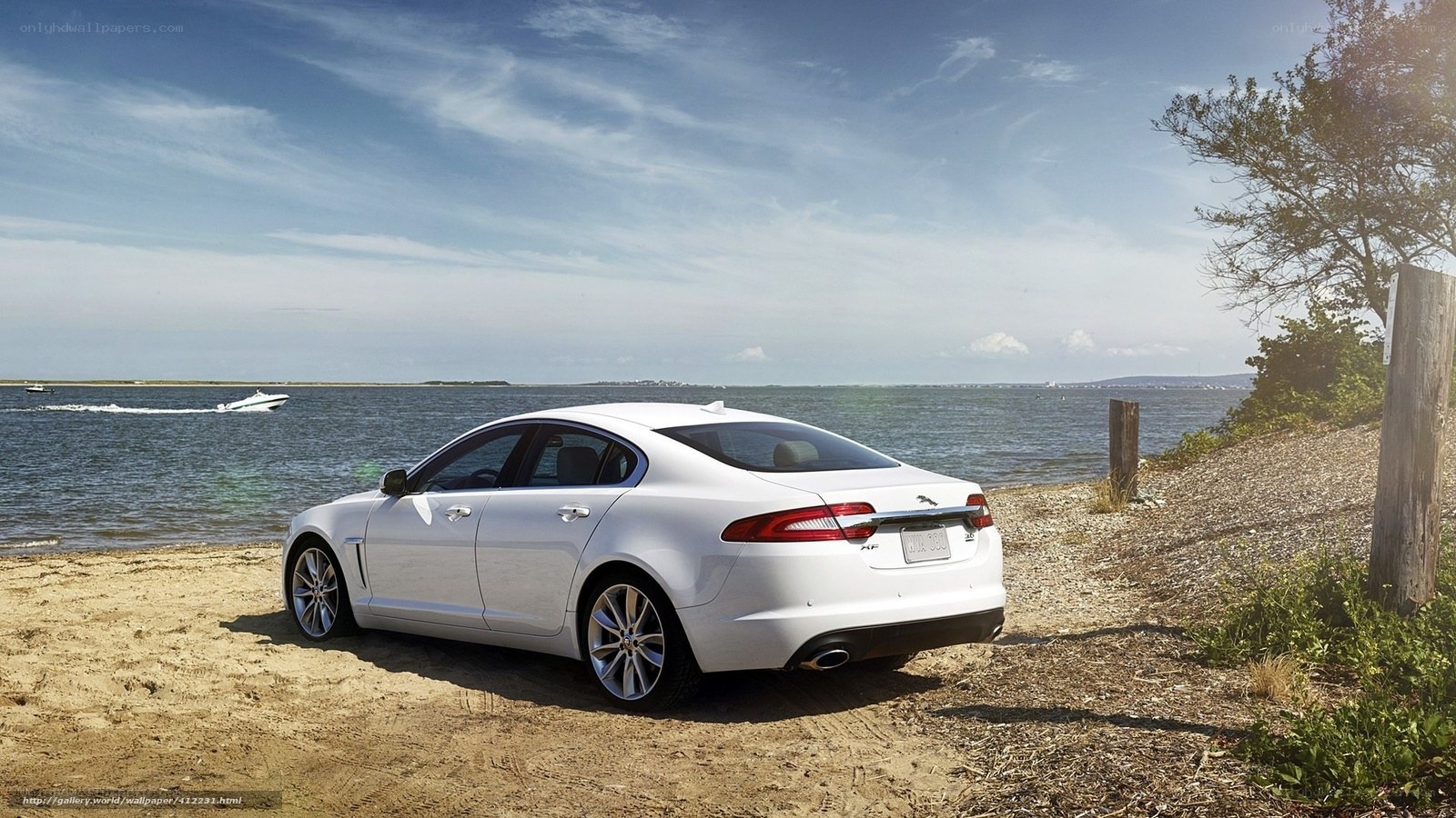 White Jaguar XF by the water