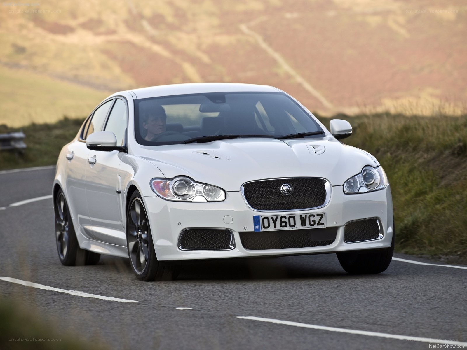 white jaguar xf in motion