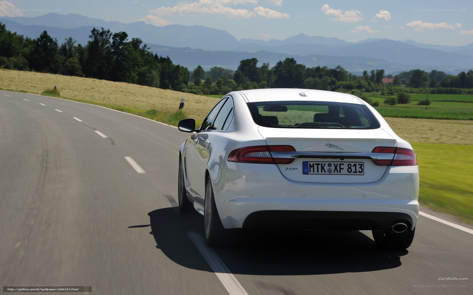 White Jaguar XF on a scenic road