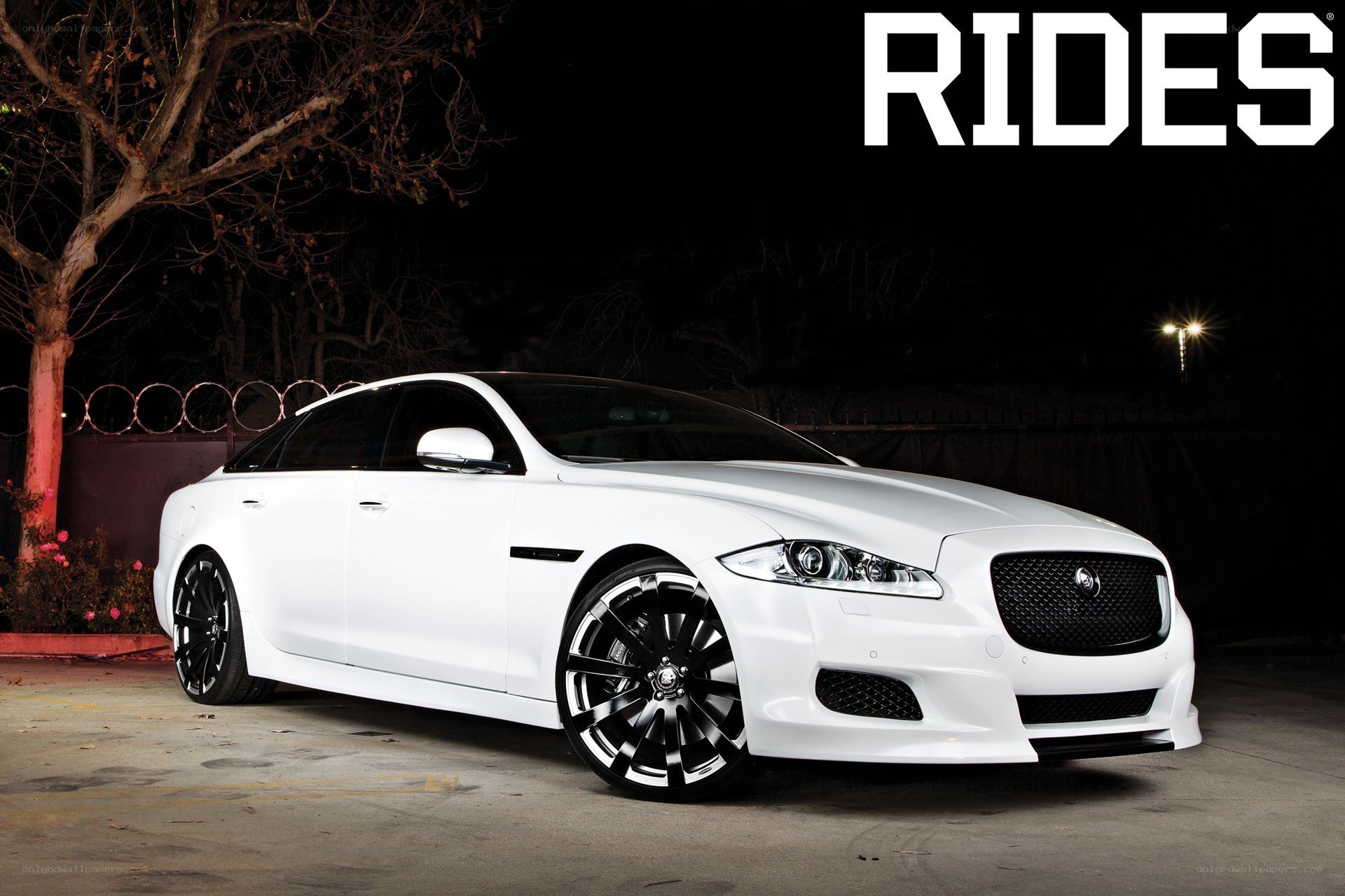 White Jaguar XJ at night