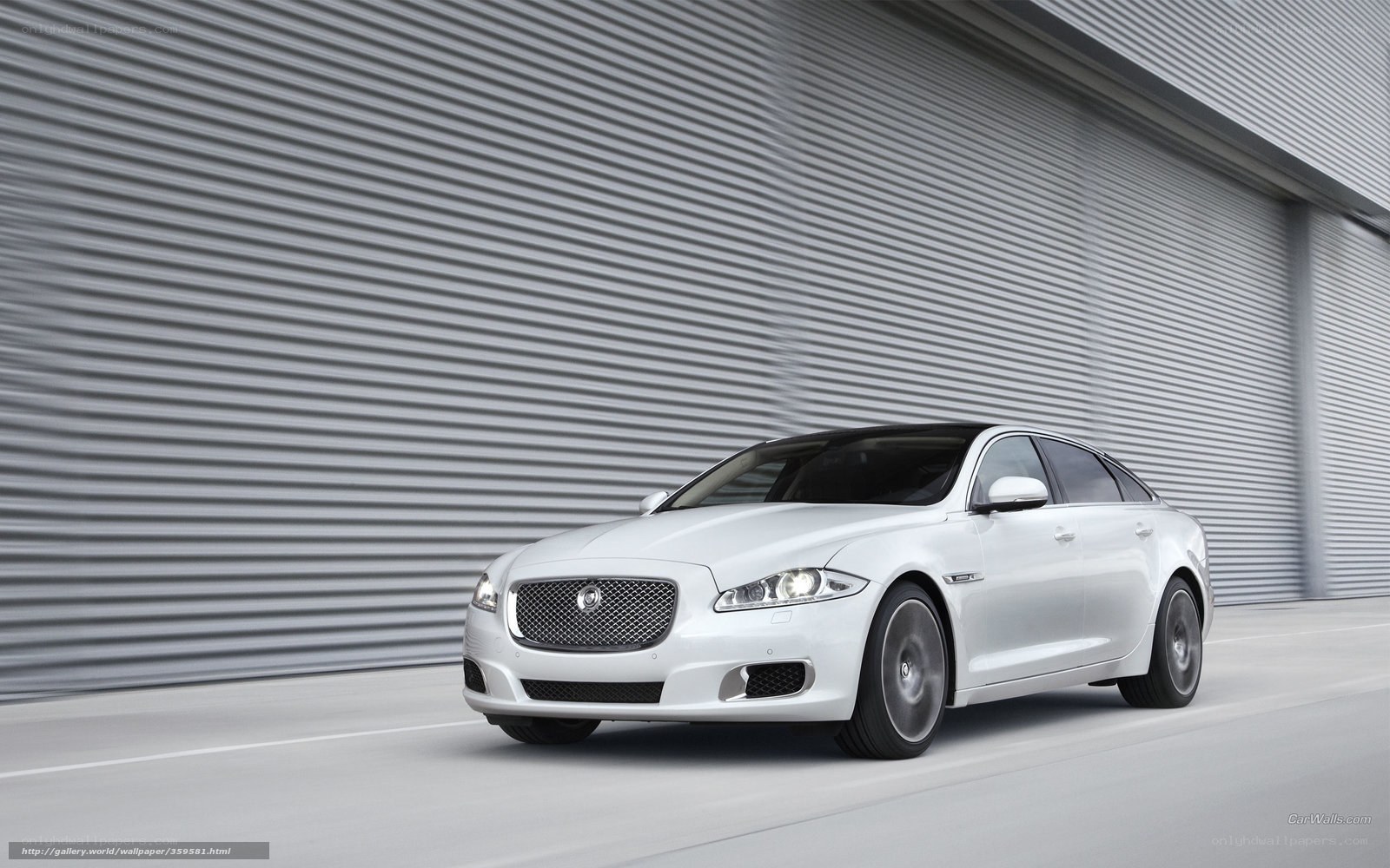 White Jaguar XJ in motion