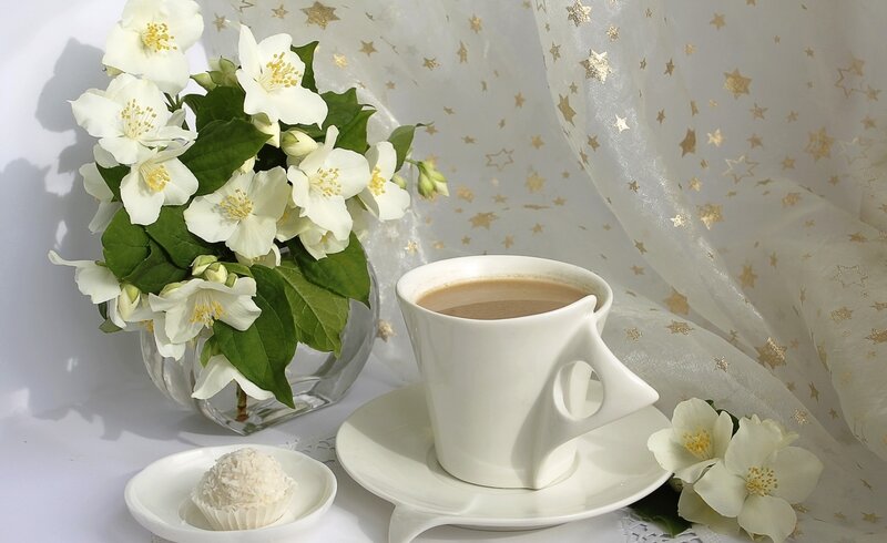 White Jasmine Flowers — Serene, Morning, Photograph, Coffee Cup
