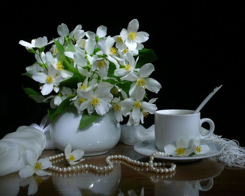 White Jasmine Flowers — Serene, Photograph, Cup and Saucer