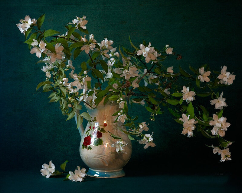 White Jasmine Flowers — Serene, Photograph, Vase