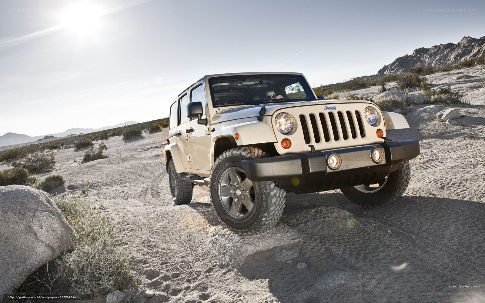 White Jeep in desert landscape