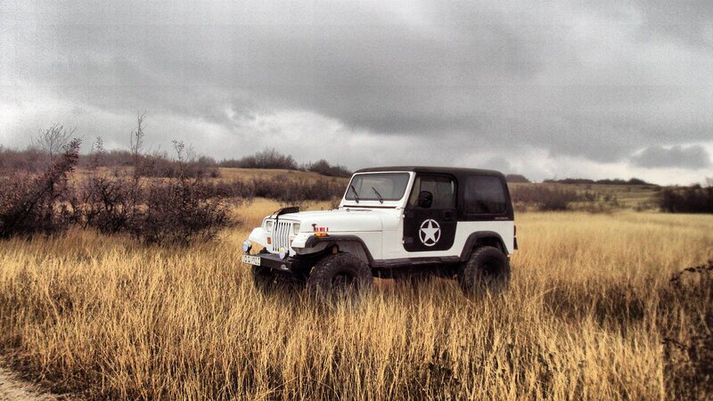 White Jeep in Field — Brown